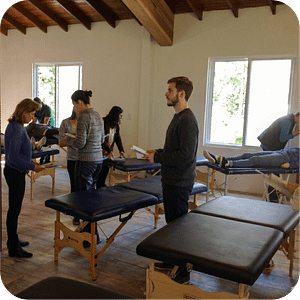 Curso de Kinesiologia