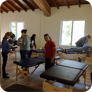 Kinesiologia sala de aula